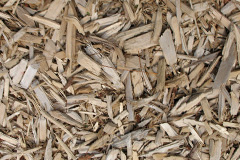 biomass boilers Papil